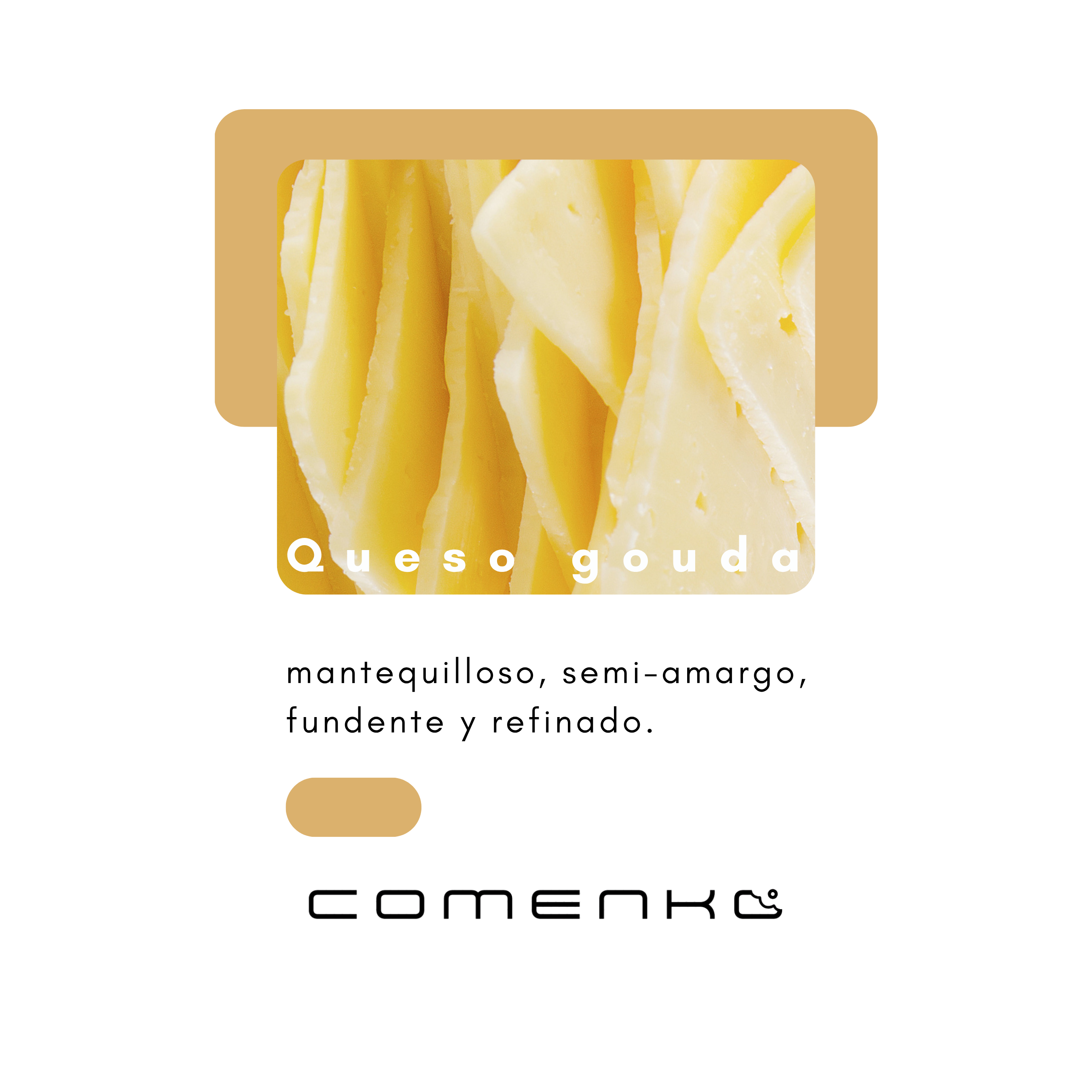 Queso Gouda Laminado